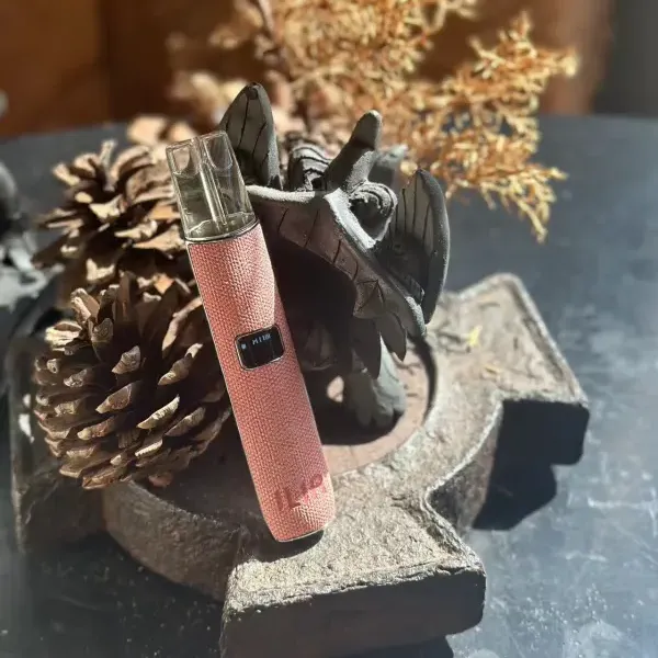 哩亞一代皮革主機 布紋粉